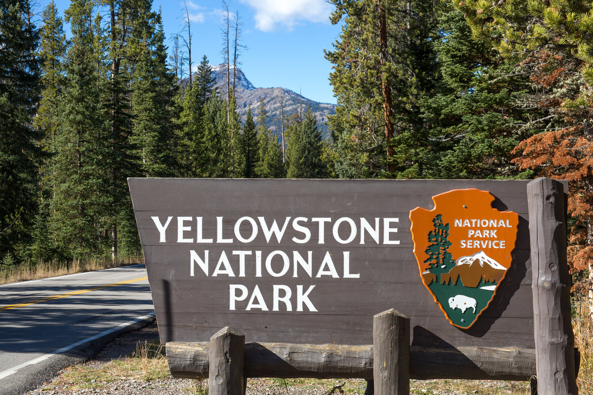 5 Fascinating Facts About Yellowstone National Park That Will Make You